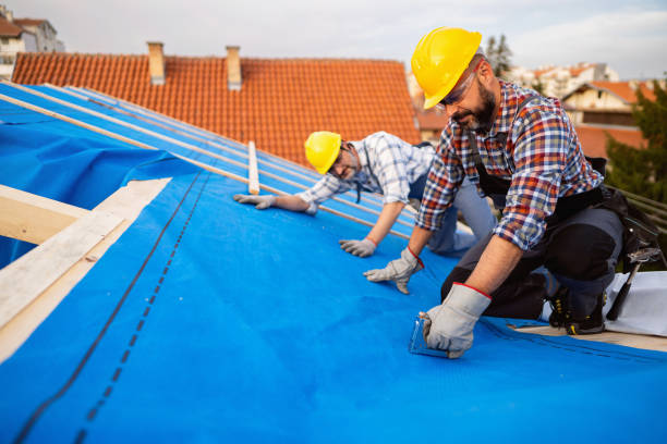 Best Roof Maintenance Services  in Ama, LA