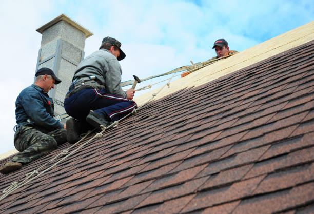 Best Roof Waterproofing Services  in Ama, LA
